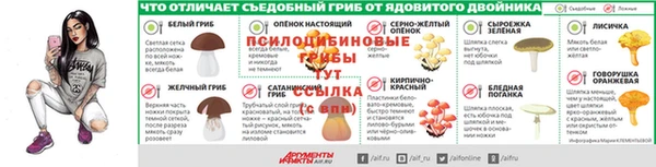дмт Аркадак