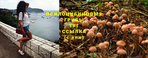 дмт Аркадак