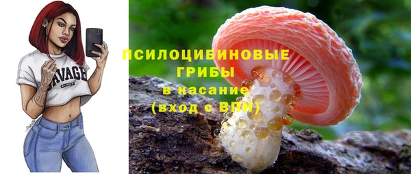 таблы Армянск