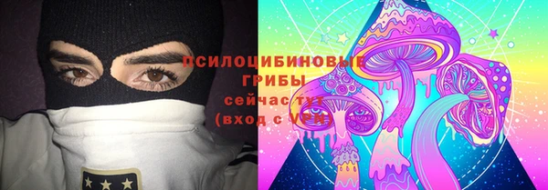 дмт Аркадак