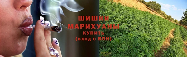 дмт Аркадак